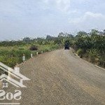 Chính chủ gửi cho thuê đất xã lộc thanh - tp. bảo lộc