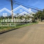 Cho thuê đất lớn ngay tp. bảo lộc