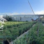 Bán đất đẹp 200m2 tại xã hòa liên, hòa vang, đà nẵng, giá 2,2 tỷ