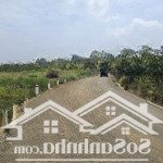 Chính chủ cho thuê đất xã lộc thanh - tp. bảo lộc