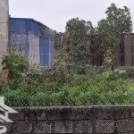 Dt: 115m2 yên nhân - tiền phong - mê linh - hà nội