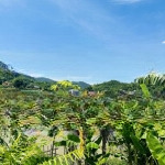 Bán lô đất 920m2 view ruộng bậc thang tuyệt đẹp tại hợp phong, cao phong, hòa bình