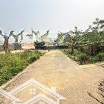 Chủ vay ngân hàng bán gấp lô đất thôn 3 tân xã dt 61,7m2 giá chỉ 2tỷ420tr rẻ nhất tân xã