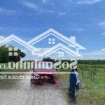 Bán gấp đất lộc ninh, 1,5 tỷ, 1500m2, pháp lý đầy đủ