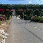 Bán đất tc 750m2 ngay hông trạm ytế an linh sát kcn cách đường dh507 200m sổ sẵn.gọi 0325030897(vy)