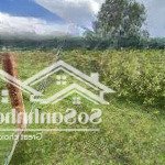 Bán đất 463.1m2 tại phước mỹ, quy nhơn, bình định, giá siêu hời 688 triệu