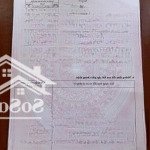 Cơ hội đầu tư khu vực nam đảo tổ chức apec 2027
