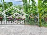 Bán đất tại đường tân đông cầu bà trà, xã long hưng, gò công, tiền giang, 198m2 (100m2 thổ)