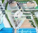 Habitat căn hộ đẳng cấp giữa trung tâm thuận an giá chỉ 41tr/m2