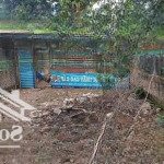 Bán đất tại tân minh, sóc sơn, hà nội, giá siêu hời 2,55 tỷ, 212m2