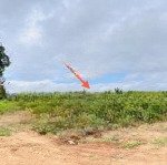 Bán đất gần quốc lộ 26, thị trấn ea kar, ea kar, đắk lắk. chỉ 180 triệu có ngay 530m2