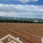 Siêu phẩm 1024m2 đất xã liên hiệp, tỉnh lâm đồng, dt 13x78m, có 100m2 tc, đường 5m giá chỉ 3.2 tỷ