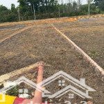 Bán đất nền 60m2 tại đường phú mãn, quốc oai, hà nội, 55 triệu vnd, hàng hiếm!