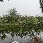 Chỉ hơn 1 triệu 1m2 đất sổ hồng mới cấp hợp kinh doanh khu nghỉ dưỡng, homstay kết hợp nhà hàng