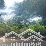 Cần tiền bay gấp lô đất ngay tại dĩ an giá ngộp chỉ có 700tr/100m2 mua ngay kẻo hết nha