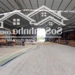 700m kho xưởng, sản xuất khu công nghiệp ngọc hồi cần cho thuê, có cắt lẻ, container vào, giá 80k/m