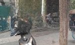 Mảnh đất vàng trong lòng hn 530m2 x mt 25m. mặt phố lê đức thọ giá 110 tỷ
