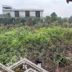Bán đất đông tảo - khoái châu - hưng yên lô 919m2 có thể phân lô giá siêu rẻ 1xtr/m2. lh 0333666483