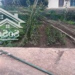 Bán đất trong đê tráng việt, mê linh