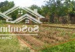 Bán đất minh đức việt yên giá 1,1 tỷ, 158m2, lô góc, mặt tiền 10m, pháp lý đầy đủ, xây nhà đẹp