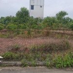 Bán đất đấu giá cẩm lý, lục nam, bắc giang. 90m2- mt 5m. giá 1,3 tỷ