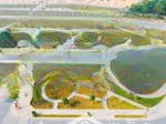 1.7 tỷ, tôi cần bán đất s 105m2, mặt phố 5m đường nhựa asphalt vỉa hè rộng làn 2 trục trung tâm tp