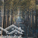 Bán nhà mặt tiền ngay âu cơ, phường 10, tân bình, dt: 20m x60m, dtcn 1.055m, giá 185 tỷ tl