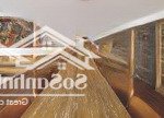 Nhà trên đồi cù mt đinh tiên hoàng tp đà lạt, dt: 1300m2 (25 x 50)m - kiến trúc chuẩn 5 sao, 230 tỷ