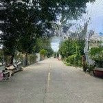 Cần bán gấp mảnh vườn mít siêu đẹp siêu bổ dưỡng, phù hợp với anh chị có nhu cầu mua làm vườn