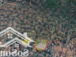 Bán đất nền dự án king hill residences, 2,06 tỷ, 84m2, xã thanh phú, bến lức, long an