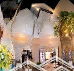 Bán biệt thự gò vấp 8.2x20m, 3 tầng 17 tỷ