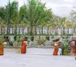 Rổ hàng 2000 căn para sol cam ranh bán lại từ 4.5 tỷ đã có sổ hồng - rổ hàng vip tháng 4/2025