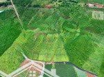 Bán đất 1,22 ha - siêu phẩm mặt tiền đường dài 295m - lộc quảng - bảo lâm - lâm đồng