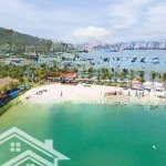 Bán 300m2 ngang 15m đất hướng biển đường triệu quang phục, kdc đông mương vĩnh hoà,chỉ 47 triệu/m2