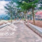 Nhà mới đường 8m kdc tân phú trung đất 80m2 giá 3.15 tỷ 1 lầu 3pn nội thất cơ bản 0909998421 tín