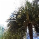 Nhà thoáng đãng rất trong lành gần mt 606 đường 3 tháng 2, gần 62m2 xe hơi ngủ nhà - cỡ 8,21tỷ