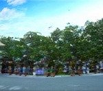 Biệt thự góc 2 mặt tiền (168,8m2,ngang 9m), kđt phước long - đang cho thuê 30tr/tháng , gí 13 tỷ