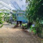 Dãy nhà trọ 2 tỷ tl 93,6m2 thu nhập 5tr/tháng gần đường thuận giao 7, p. thuận giao