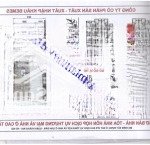 Bán cc vp5 linh đàm, giá thỏa thuận, 61m2, 2pn, 2wc, đẹp, nhiều tiện ích