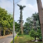 Chính chủ giảm giá cực rẻ chỉ hơn 100tr/1m - biệt thự tân tây đô - sát vin đan phượng