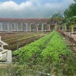 Cần bán 425m2 đất gần chợ đông tảo full thổ cư mặt tiền 24m, giá 19tr/m2, lh 0961694919