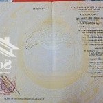 Cặp đất góc 2 mt dương đức hiền và hòa minh 1, 167.7m2, 9.x tỷ tl