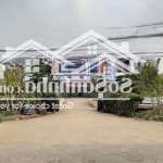 Chị gái gửi bán lô góc 123,4m2 phùng hưng - khoái châu, full thổ, trục chính ô tô tải chạy thông