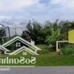 Cần bán đất mt trần quang diệu, phường 1, bạc liêu. 120m2, shr