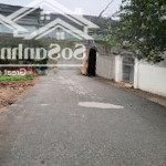 Bán 55m2 đất sen hồ lệ chi, mặt tiền rộng 5,3m, đường trước đất 5m ô tô chay thông