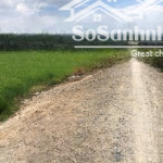 Bán đất tại tỉnh lộ 823, 380 nghìn/m2, 32.000m2, mặt tiền 100m