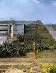 1516m2 có sẵn 400m2 đất ở, khu dân cư, đường bê tông ô tô, cách ql 800m. sổ đỏ