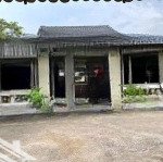 Cho thuê biệt thự sân vườn thiên nhiên 500m 2phòng full nội thất chánh nghĩa - tdm - bình dương