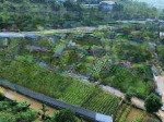 Bán đất đông xuân quốc oai, gần hồ sinh thái, gần trường quốc tế springhill, 158m2 mt 6m, giá tốt