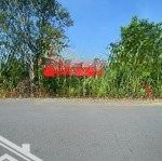 Bán đất mặt tiền kinh doanh trần quang đạo (10mx40) thổ cư sổ riêng - gần hương lộ 2 tân thông hội